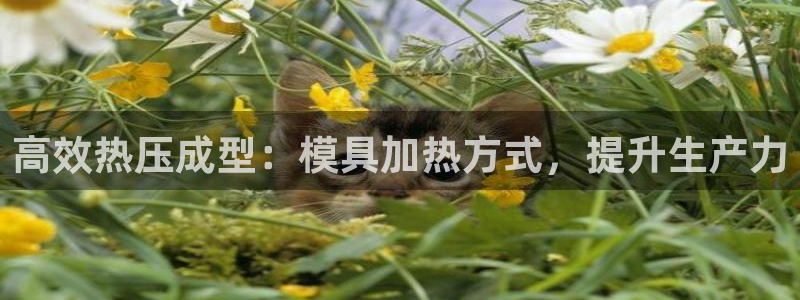 易倍纤官网：高效热压成型：模具加热方式，提升生产力
