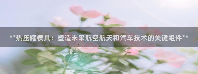 易倍申生产厂家：**热压罐模具：塑造未来航空航天和汽车技