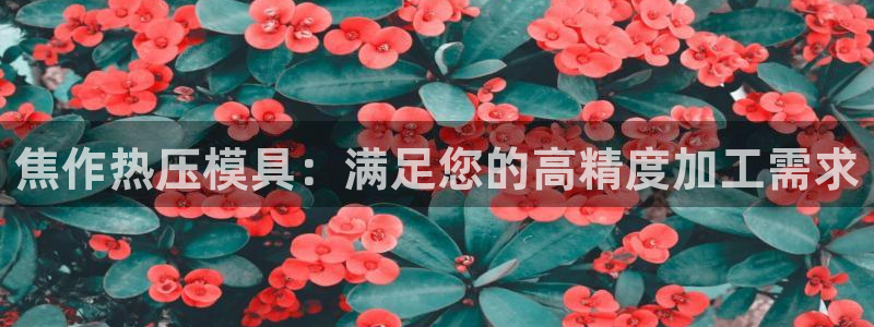 北京易倍思教育科技有限公司