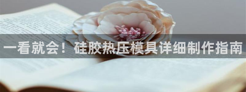 易倍单词app