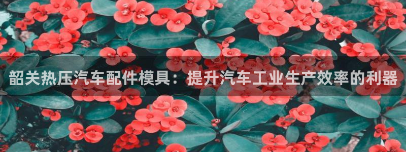 易倍单词官网下载