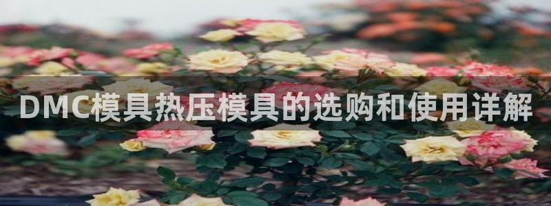 emc易倍app官网下载