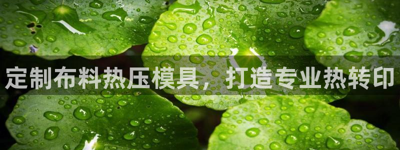 emc全站ag：定制布料热压模具，打造专业热转印
