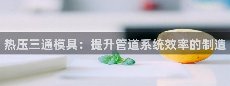 易倍申价格是多少：热压三通模具：提升管道系统效率的制造