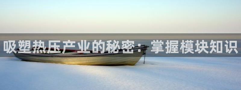易倍单词app