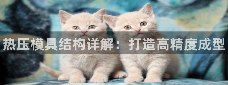 易倍网络技术有限公司官网：热压模具结构详解：打造高精度成