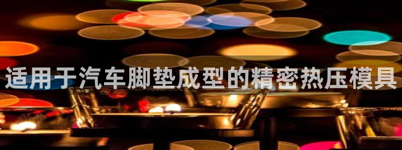 武汉易倍捷科技有限公司：适用于汽车脚垫成型的精密热压模具