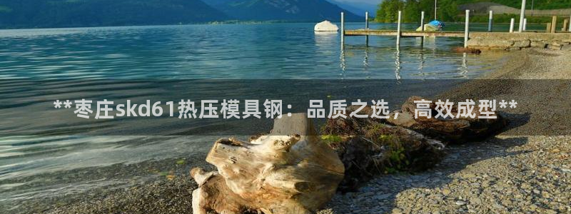 易倍康简历