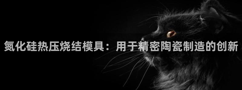 易倍申和易倍清的区别：氮化硅热压烧结模具：用于精密陶瓷制