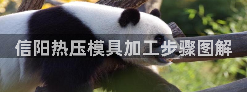 易倍纤怎么使用