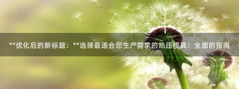 易倍申片：**优化后的新标题：**选择最适合您生产需求的