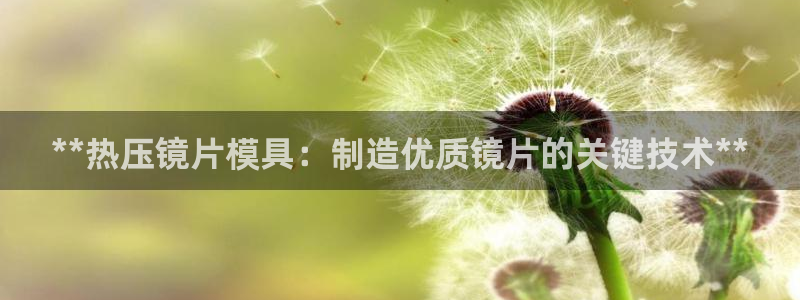 易倍下载地址：**热压镜片模具：制造优质镜片的关键技术*