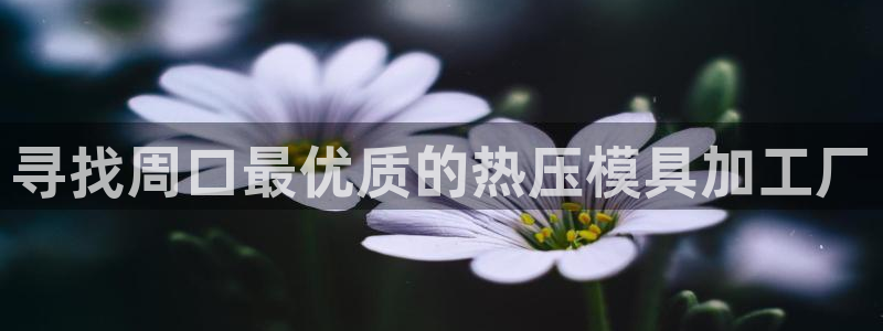emc易倍首页：寻找周口最优质的热压模具加工厂