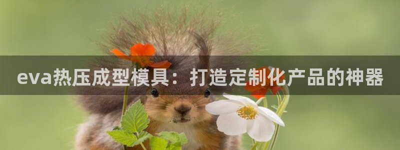 武汉易倍捷科技有限公司：eva热压成型模具：打造定制化产