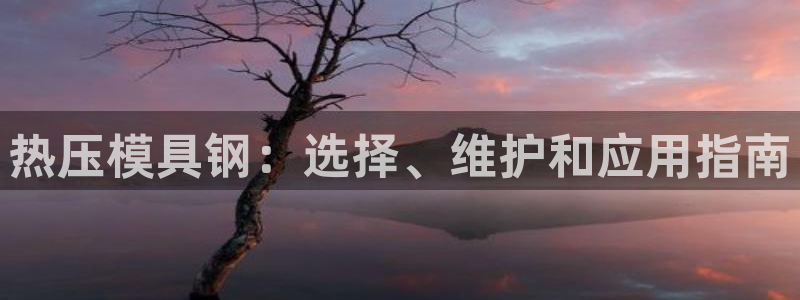 易倍单词软件