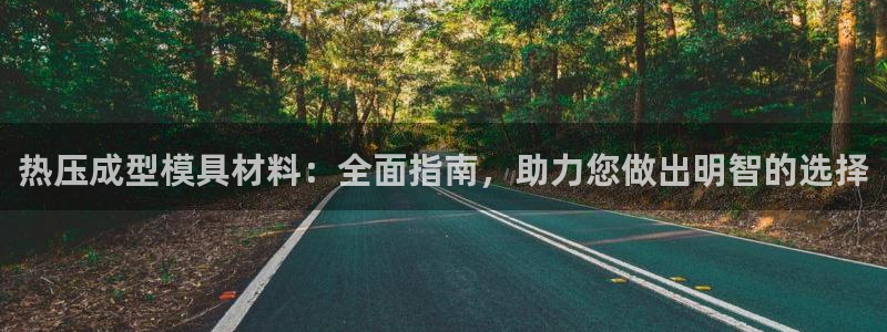 易倍纤减肥反弹不：热压成型模具材料：全面指南，助力您做出