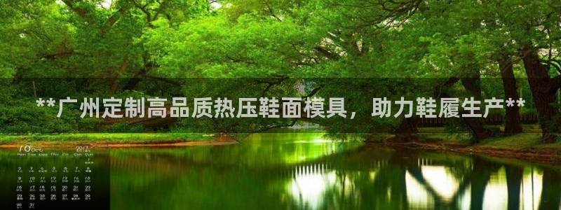 易倍科华生物科技有限公司：**广州定制高品质热压鞋面模具