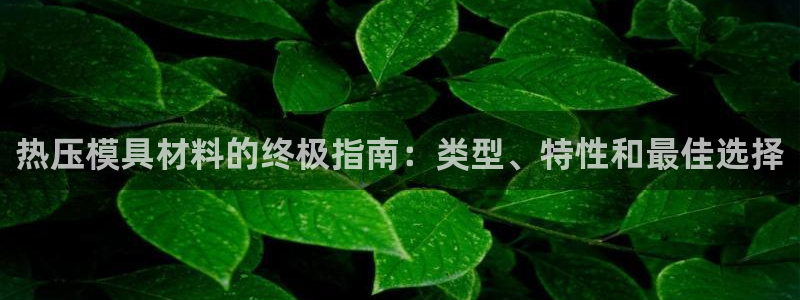 易倍app官网下载：热压模具材料的终极指南：类型、特性和