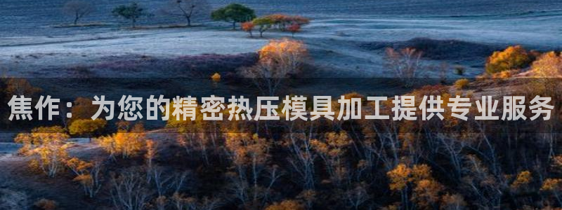 emc频率范围：焦作：为您的精密热压模具加工提供专业服务