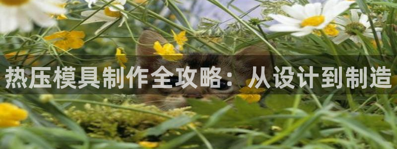 emc易倍全站