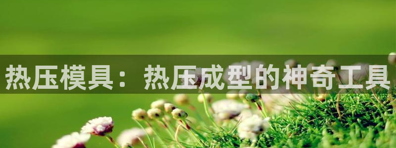易倍申安理申区别