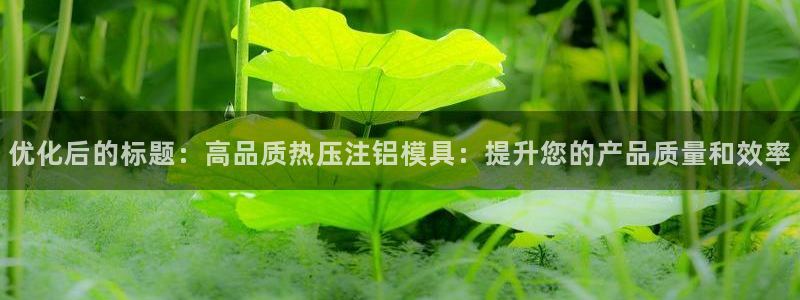 emc网页版：优化后的标题：高品质热压注铝模具：提升您的