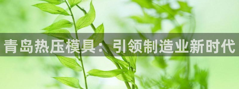 易倍app官网下载：青岛热压模具：引领制造业新时代