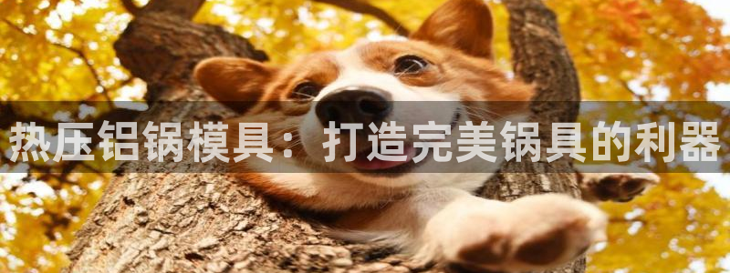 易倍app官网下载安装