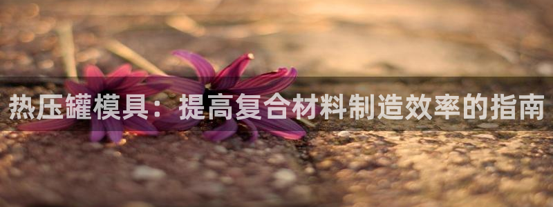易倍申片能长期服用吗：热压罐模具：提高复合材料制造效率的