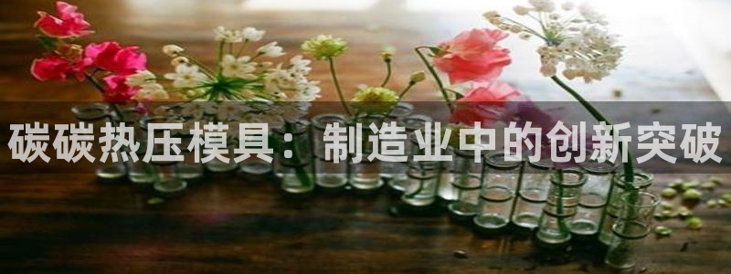 易倍纤奶昔减肥效果怎么样：碳碳热压模具：制造业中的创新突