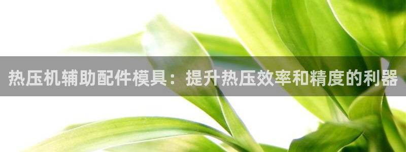 易倍申能长期吃吗：热压机辅助配件模具：提升热压效率和精度