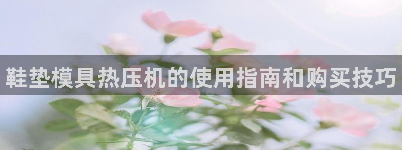 emc易倍官网登录入口