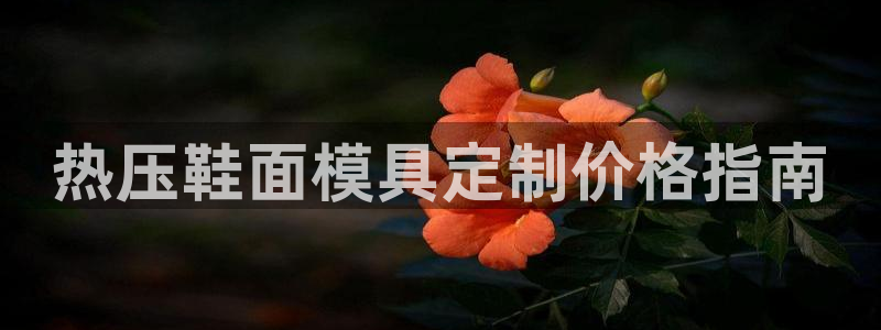 易倍电竞：热压鞋面模具定制价格指南
