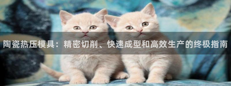 易倍科华生物科技有限公司：陶瓷热压模具：精密切削、快速成