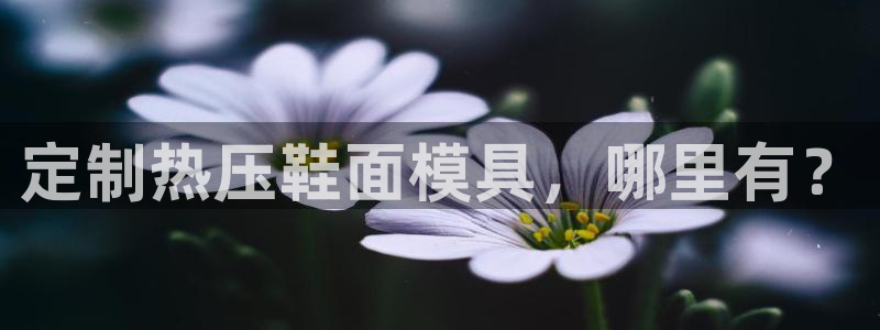 emc参数