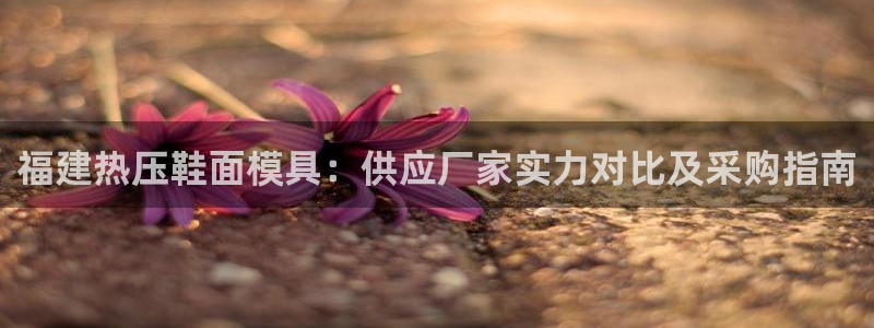 北京易倍思教育科技有限公司：福建热压鞋面模具：供应厂家实