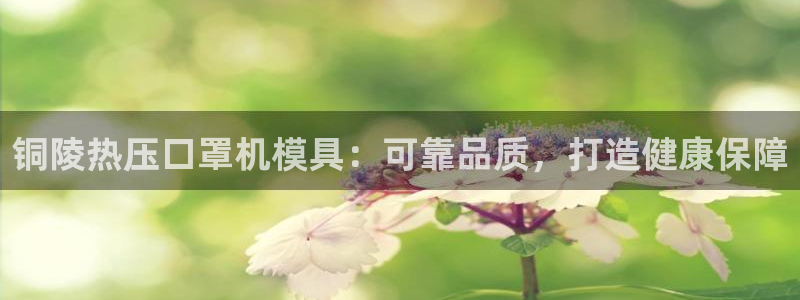 emc低频：铜陵热压口罩机模具：可靠品质，打造健康保障