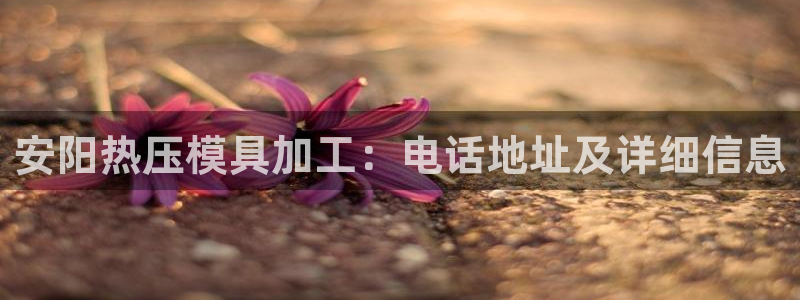emc倍频超了：安阳热压模具加工：电话地址及详细信息