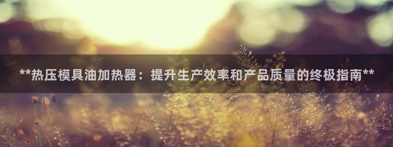 EMC易倍官方网址：**热压模具油加热器：提升生产效率和