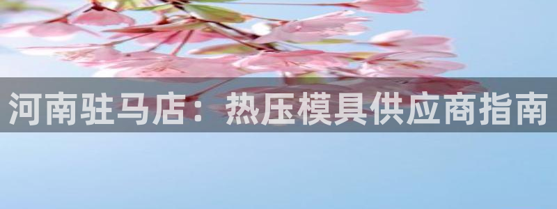 emc易倍全站官网：河南驻马店：热压模具供应商指南