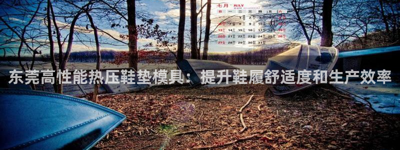 emc易倍官网app下载：东莞高性能热压鞋垫模具：提升鞋