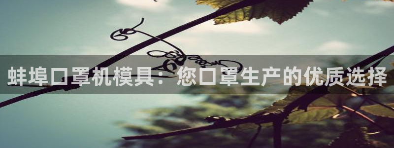 emc参数：蚌埠口罩机模具：您口罩生产的优质选择