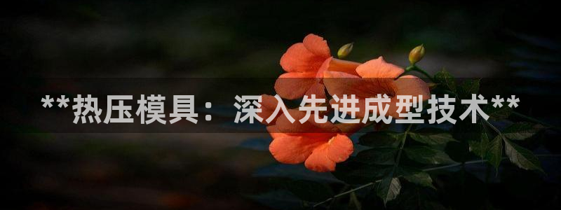 emc易倍官网首页：**热压模具：深入先进成型技术**