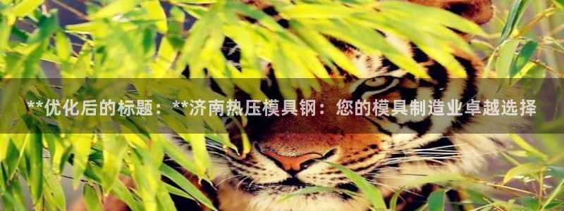 易倍单词app下载：**优化后的标题：**济南热压模具钢