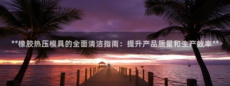 易倍网络技术有限公司是干嘛的：**橡胶热压模具的全面清洁