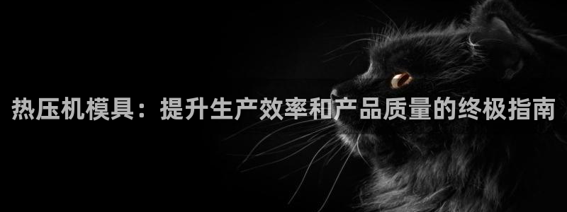 易倍申价格是多少：热压机模具：提升生产效率和产品质量的终