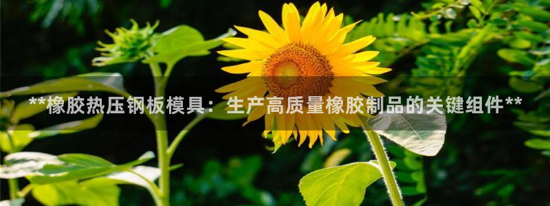 emc易倍最新链接：**橡胶热压钢板模具：生产高质量橡胶