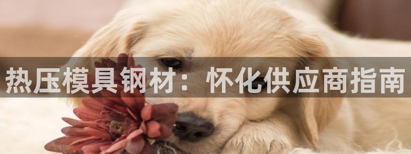 易倍企业管理软件怎么样