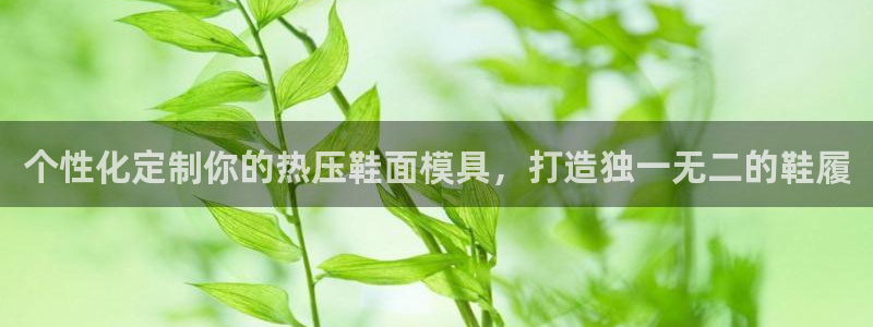 emc易倍登录：个性化定制你的热压鞋面模具，打造独一无二