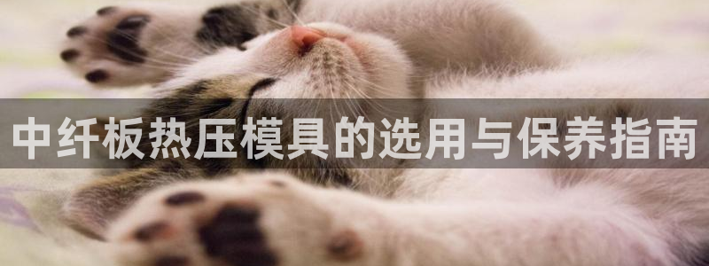 易倍EMC网址